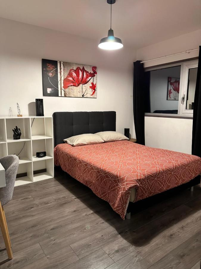 Апартаменты Magnifique Loft - Hyper Centre Аннемас Экстерьер фото